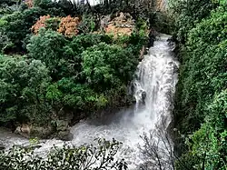 Le Saut du Capelan en crue à La Motte pendant l'hiver 2008/2009.