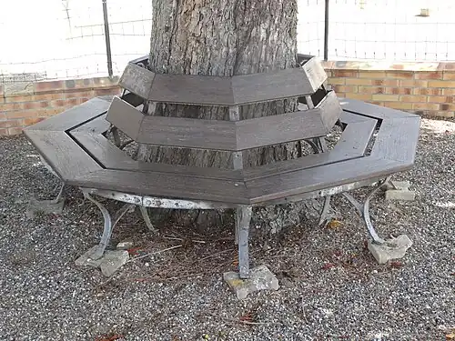 Banc entourant un arbre.