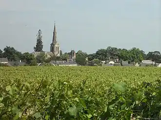 Image illustrative de l’article Savennières (AOC)