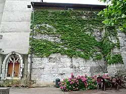 Photographie en couleurs d'un mur largement recouvert de végétation.
