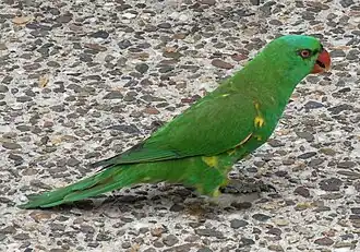 Description de cette image, également commentée ci-après