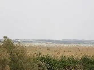 Image illustrative de l’article Étang de Scamandre