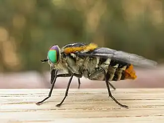 Description de cette image, également commentée ci-après