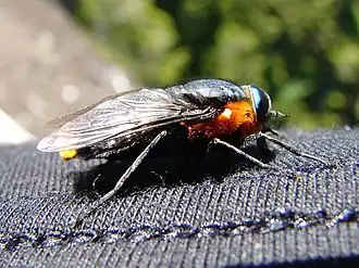 Description de cette image, également commentée ci-après