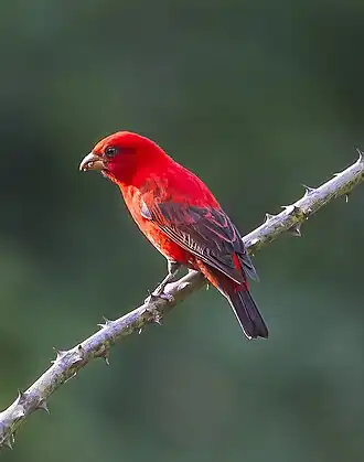 Description de cette image, également commentée ci-après