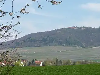 Image illustrative de l’article Schwanberg