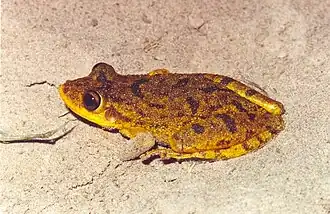 Description de cette image, également commentée ci-après