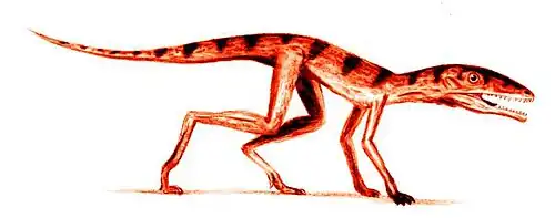 Reconstruction de Scleromochlus par le paléoartiste Nobu Tamura.