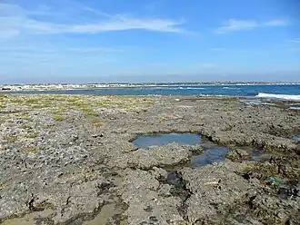 La falaise de Torre Lapillo