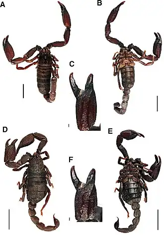 Description de cette image, également commentée ci-après