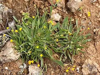Description de cette image, également commentée ci-après