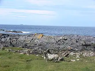 Côte ouest de l'île de Seil