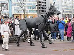 Xolo à Liverpool.
