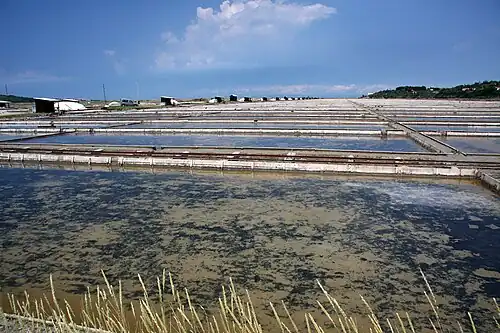 Salines de Sečovlje
