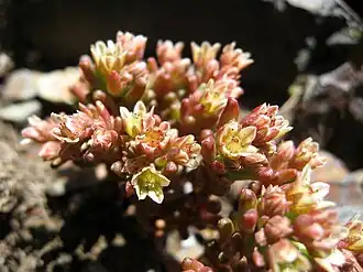 Description de cette image, également commentée ci-après