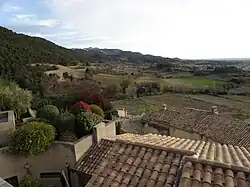 Le vignoble vu de Séguret