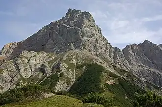 Le Selbhorn vu du sud