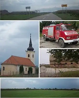 Vera (Trpinja)