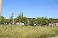 Belosevac - panorama