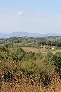 Dupljaj - Panorama