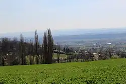 Lukavac - panorama