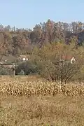 Ostružanj - panorama