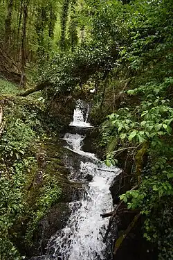 Ruisseau de Sem le long du sentier.