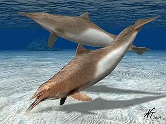 Reconstitution de Semirostrum, genre fossile.