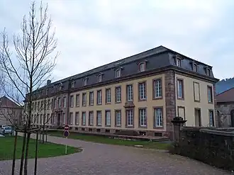 Image illustrative de l’article Châteaux des princes de Salm-Salm