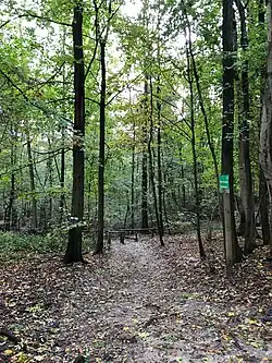 Le sentier du Bocq près du chemin du Réservoir