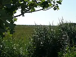 Réserve naturelle régionale de la Sentina&nbsp;(it)