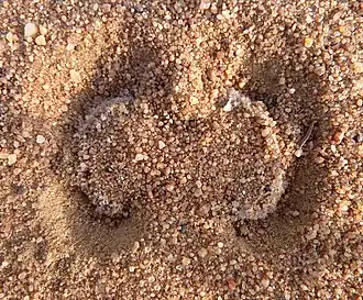 Description de cette image, également commentée ci-après