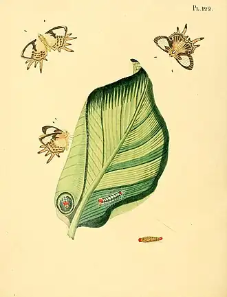 Description de cette image, également commentée ci-après