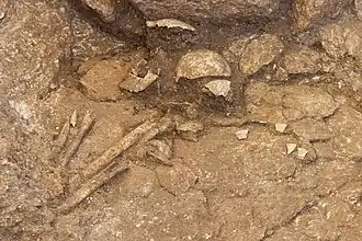 Vue d'ossements humains dans une sépulture en pleine terre.