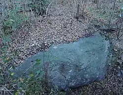 Image illustrative de l’article Allée couverte du Bois de Belleville