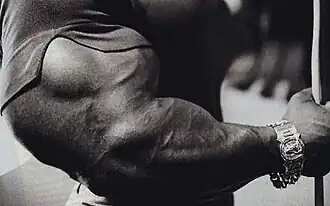 Image illustrative de l’article Sergio Oliva