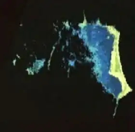 Image illustrative de l’article Seskar