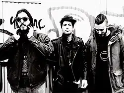 Description de l'image Sexy Zebras.jpg.