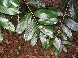 Description de cette image, également commentée ci-après