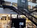 Essai de reconstitution d'un squelette de Siamosaurus, centre commercial River City, Bangkok