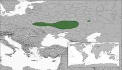 Aire de répartition de la Siciste de Severtzov