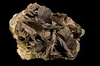 Sidérite pseudomorphose en limonite - Allevard Isère - (14&nbsp;×&nbsp;12&nbsp;cm)