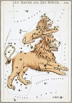 Carte no&nbsp;20 : Le Lion et le Petit Lion