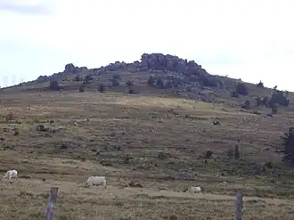 Le signal de Randon vu du col du Cheval Mort (1&nbsp;454&nbsp;m).
