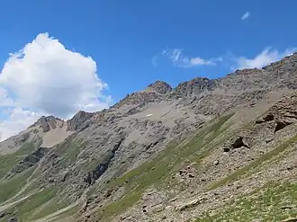 Vue de l'adret du sommet depuis le Plan des Cavales au sud.