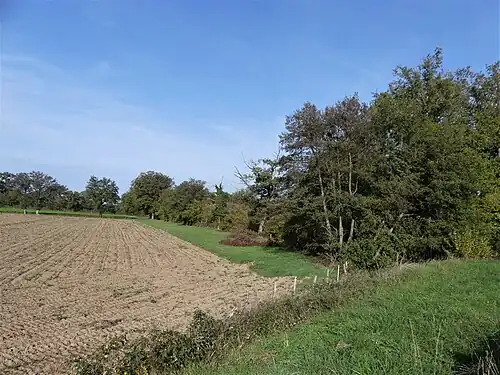 La vallée du Signollet (amont) au niveau de la RD 997.