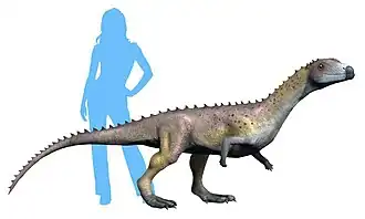 Description de cette image, également commentée ci-après