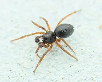 Description de cette image, également commentée ci-après