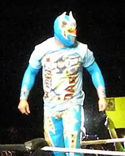 Photo d'un catcheur masqué en tenue bleue et jaune or sur la deuxième corde d'un ring.