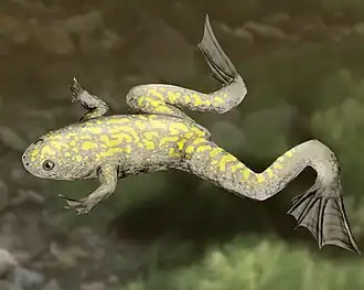 Description de cette image, également commentée ci-après